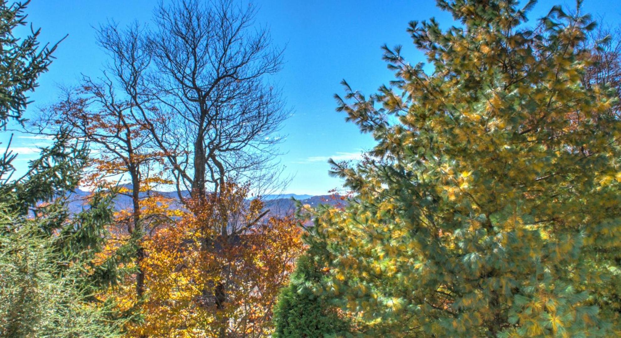 Klonteska Condominiums By Vci Real Estate Services ビーチ・マウンテン 部屋 写真